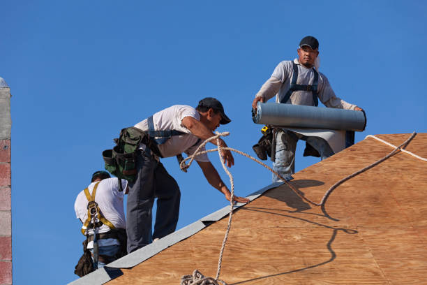Best Local Roofing Companies  in Arrowhead Beach, NC
