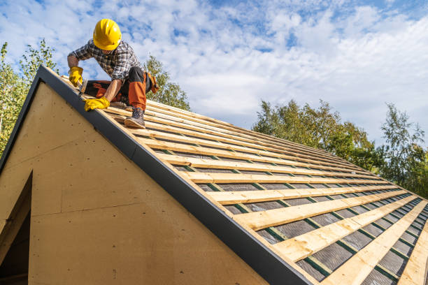 Best Metal Roofing Contractor  in Arrowhead Beach, NC